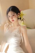 优化完美立异资
